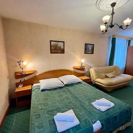 Hotel Henryk