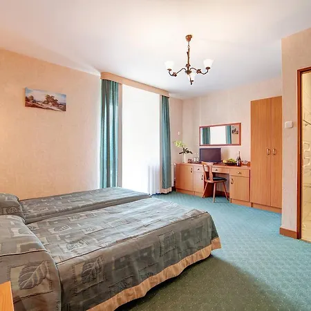 Hotel Henryk