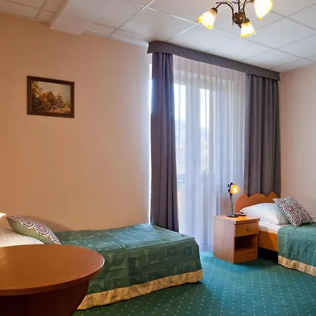 Hotel Henryk